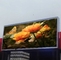 SMD P6.67mm Front Maintenance LED Screen Outdoor IP65 LED Display