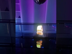 Transparent LED Display
