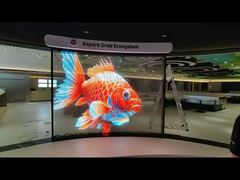 Indoor Ultra-Thin P6 Flexible Transparent LED Film Display 85% Transparency 3000 Nits 1000mm x 240mm